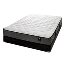 Sealy Slater Tight Top Mattress Set (King) IMAGE 1