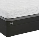 Sealy Gratifying Firm Mattress Set (Queen) IMAGE 3