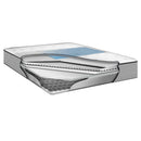 Sealy Ardor Firm Tight Top Mattress (Queen) IMAGE 1