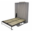 Dream Time Bedding Queen Wall Bed Wall Bed (Queen) IMAGE 1