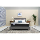 Sealy 10” Memory Foam Mattress Set (Queen) IMAGE 1