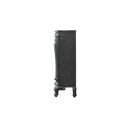 Acme Furniture House Delphine 28836 Chest IMAGE 6
