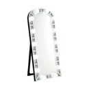 Acme Furniture Noralie 97984 Accent Floor Mirror IMAGE 1