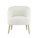 Acme Furniture Trezona AC00125 Accent Chair IMAGE 1