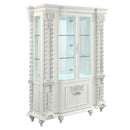 Acme Furniture Vanaheim DN00681 Curio IMAGE 1