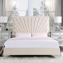 Acme Furniture Faiz BD00957Q Eastern Queen Bed IMAGE 1