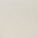 Zuo Essen 110101 Dining Chair - Ivory IMAGE 7