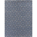 Surya Rugs Rectangle AMD1005-811 IMAGE 1