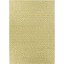 Surya Rugs Rectangle AMD1006-811 IMAGE 1