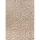 Surya Rugs Rectangle AMD1007-811 IMAGE 1
