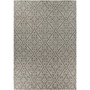 Surya Rugs Rectangle AMD1008-811 IMAGE 1
