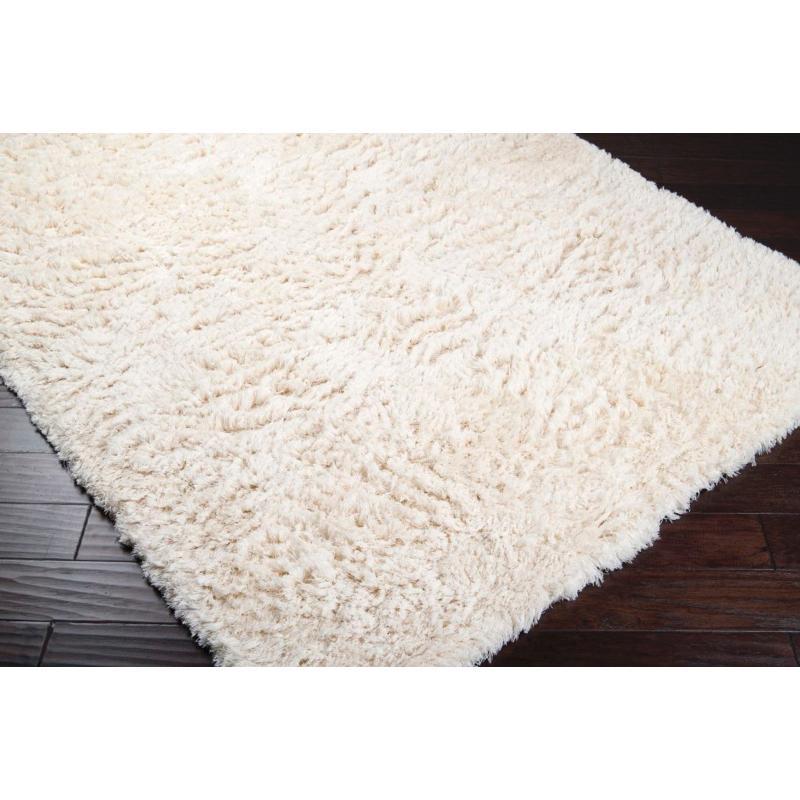 Surya Rugs Runner ASH1300-268 IMAGE 2