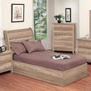 Dynamic Furniture Kids Beds Bed 348-561/461 IMAGE 1