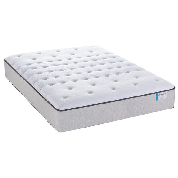Sealy Anniversary Cushion Firm Mattress (Queen) IMAGE 1