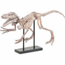 Mercana Home Decor Indoor Ornaments 57322 IMAGE 1