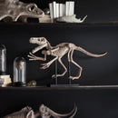 Mercana Home Decor Indoor Ornaments 57322 IMAGE 4