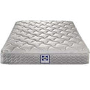 Sealy Digby Tight Top Mattress Set (Queen) IMAGE 2