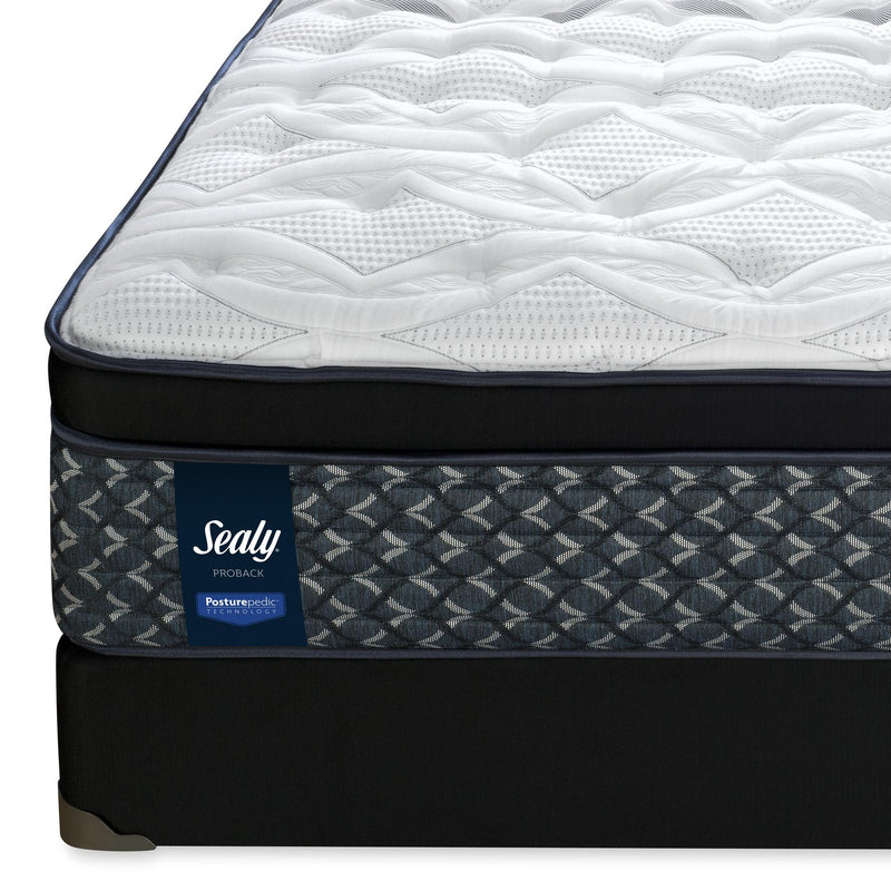 Sealy Brandine Firm Euro Top Mattress (Queen) IMAGE 3