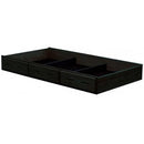 Crate Designs Furniture Trundle - Espresso E4118 IMAGE 1