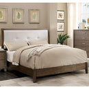  Furniture of America Enrico Queen Upholstered Platform Bed CM7068GY-Q-BED IMAGE 1