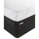 Sealy Thrilled Plush Mattress Set (Twin) IMAGE 3