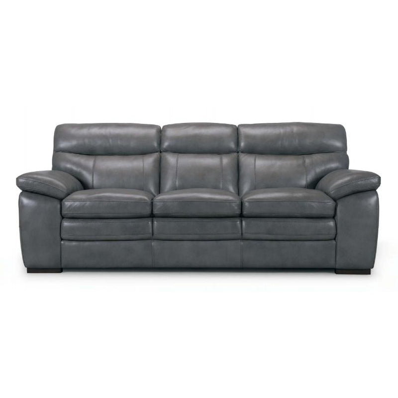 Violino Stationary Leather Sofa 3658 IMAGE 1