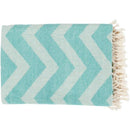 Surya Home Decor Throws THA8001-5070 IMAGE 1