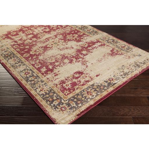 Surya Rugs Rectangle ABS3034-5373 IMAGE 2