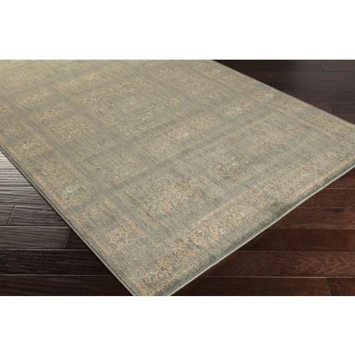 Surya Rugs Rectangle ABS3044-710910 IMAGE 2