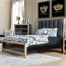  Furniture of America Braunfels California King Upholstered Panel Bed CM7263CK-BED IMAGE 1