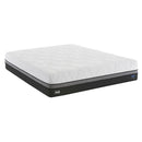 Sealy Gratifying Firm Mattress Set (Twin) IMAGE 2