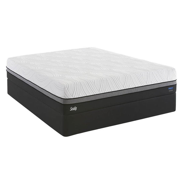 Sealy Gratifying Firm Mattress Set (Twin XL) IMAGE 1