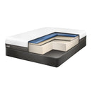 Sealy Fondness Cushion Firm Mattress Set (Twin) IMAGE 6