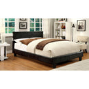  Furniture of America Evans Queen Upholstered Panel Bed CM7099EX-Q-BED IMAGE 1
