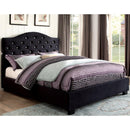  Furniture of America Cressida Queen Platform Bed CM7421BK-Q-BED IMAGE 1