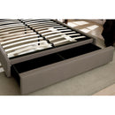  Furniture of America Orianna Queen Upholstered Panel Bed CM7674Q-BED IMAGE 6