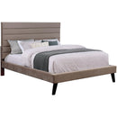  Furniture of America Janis Twin Upholstered Panel Bed CM7676T-BED IMAGE 1