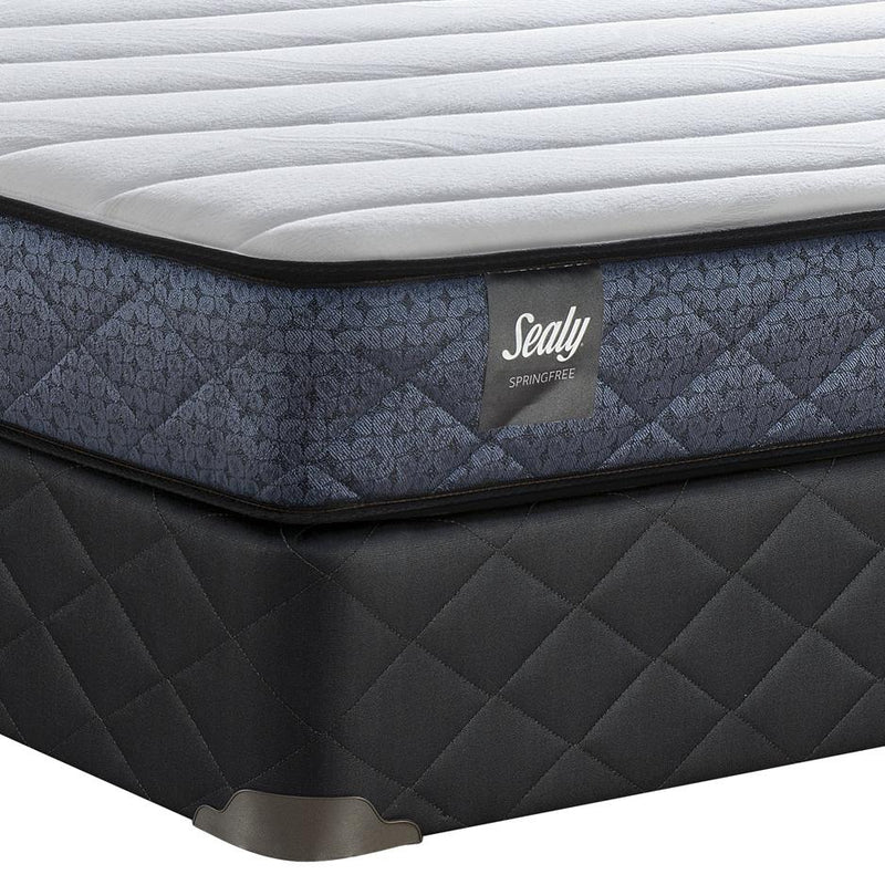 Sealy Divi II Plush Tight Top Mattress (Queen) IMAGE 3