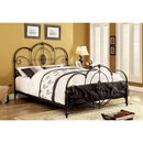  Furniture of America Jania Queen Bed CM7709BK-Q IMAGE 1