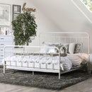  Furniture of America Iria Full Metal Bed CM7701WH-F IMAGE 1