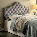  Furniture of America Bed Components Headboard CM7404GY-HB-T IMAGE 1