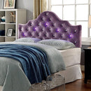  Furniture of America Bed Components Headboard CM7404PR-HB-T IMAGE 1