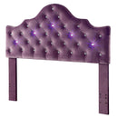  Furniture of America Bed Components Headboard CM7404PR-HB-FQ IMAGE 2