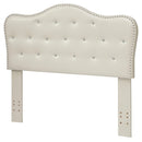  Furniture of America Kids Bed Components Headboard CM7883IV-HB-FQ IMAGE 1