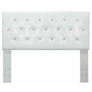  Furniture of America Bed Components Headboard CM7949WH-HB-FQ IMAGE 1