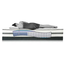 King Koil Sydney Firm Mattress Set (Full) IMAGE 5