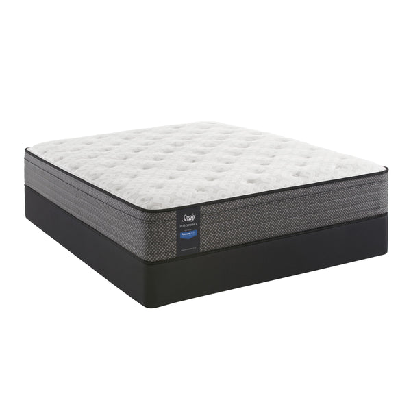 Sealy Attendance Plush Euro Top Mattress Set (Queen) IMAGE 1