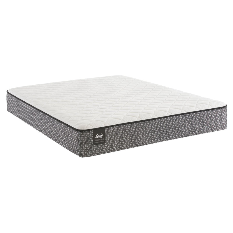 Sealy Introduction Firm Mattress (Twin) IMAGE 1