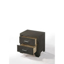 Acme Furniture Carine II 2-Drawer Nightstand 26263 IMAGE 1