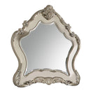 Acme Furniture Ragenardus Dresser Mirror 27014 IMAGE 2
